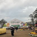 충무공동 종합경기장 이미지