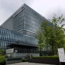 구립 아기별어린이집 이미지