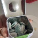 코스트코 추천템 무설탕 벨라민츠(velamints) 껌 재구매 후기, 맛 가격 재활용 정보