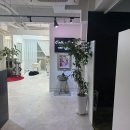 챨리 | 컬렉션 위드 챨리정 방문후기 및 복구펌 후기