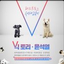 빅토리애견 이미지