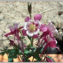 숲속나라 어린이집 이미지