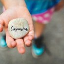 초복이네동물농장 이미지