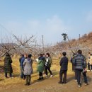 장승현농장 이미지