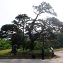 대성목장 이미지