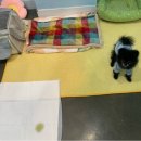 멍그니엘 이미지