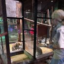 마하생태관광단지 | 경주 가볼만한곳 실내 어디? 경주보문관광 주렁주렁 후기