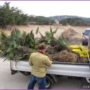 뚜뚜펜션 이미지