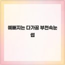 다;가꿈