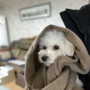 가나안제과 | 마음을 전해야지. 고백하며 살아야지. 사랑한다고 말해야지.