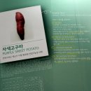 몽산포영농조합법인 이미지