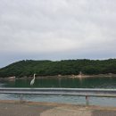 갈릴리횟집 이미지