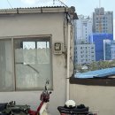 96년식 DH88 팔아요 이미지