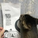 터치드바이뉴질랜드 이미지