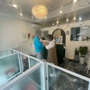 멍언니 쌀롱 이미지