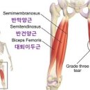 이은필라테스 - 동해시 평릉1길 28 | 이은필라테스