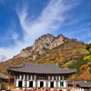 가을여행 이미지