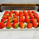 단북애청년 이미지