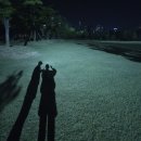 임정 | ​[40주에 쓰는 임신일기] "이건 꼭 챙기세요" 출산 가방 리스트 필수 준비물과 막달 검사 비용, 손수건...