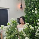 6)루나스튜디오 풀숲 배경 후기