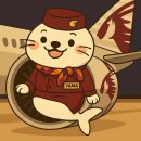 ✈ 카타르항공 Scar Check &amp; Sentence Shooting 실전 준비 가이드