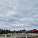 소랑세미 | 제주소랑ATV 둘레코스 찐후기 제주이색체험추천