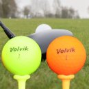 삼삼골프 이미지