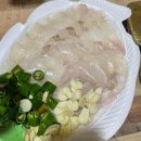 가성수족관 이미지