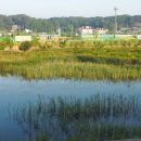 시도리운동장 이미지