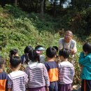 서원초등학교병설유치원 이미지