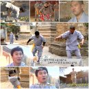 물고기(물과의 만남 이미지