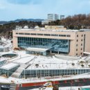 충남대로 이미지