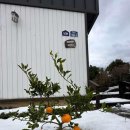 비자노아 이미지