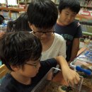 팔탄초대방분교 이미지