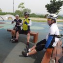 장미꽃길 1 이미지