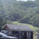 하늘목장 | 대관령 하늘목장 여름,겨울 방문후기 강원도 아이랑 가볼만한 곳 /트랙터마차 운영시간