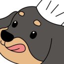 바르댕 네이버블로그