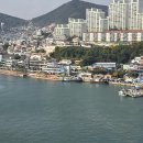 여수바다 - 파주시 | 여수바다