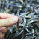 힐링아쿠아 - 부천시 소사구 경인로 543-1 | 힐링아쿠아
