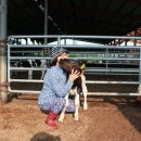 훈이네목장 이미지