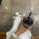 달리는커피칠곡왜관점 | [칠곡꿀맥/왜관꿀맥축제] 2026 칠곡 꿀맥 페스티벌 후기