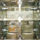 H 동물병원 이미지