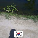 달콩 - 아산시 배방로 131 | 달콩