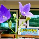 아쿠아펜션 | 서산독채펜션 여름휴가 힐링하자!