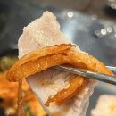 아리랑대한뉴스