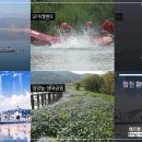 클로버 태양광발전소 이미지