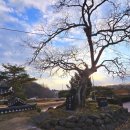 황전회관 이미지