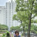 돌곶이역 8번출구 Daum카페