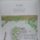 쉽게 배우는 감성 수채화 이미지