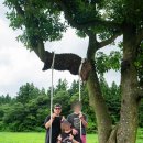 용두목장 이미지